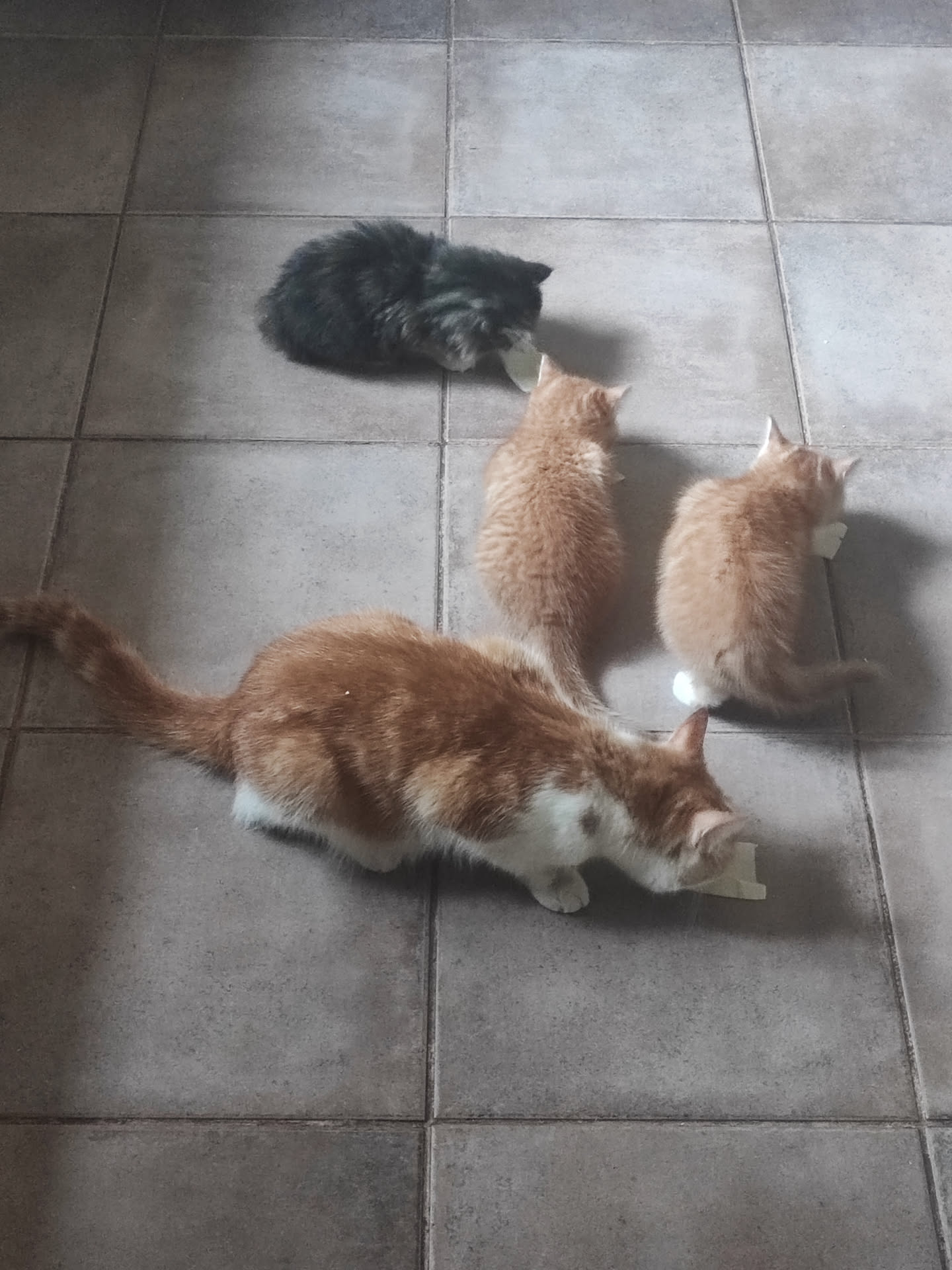 Thumbnail for Car Park