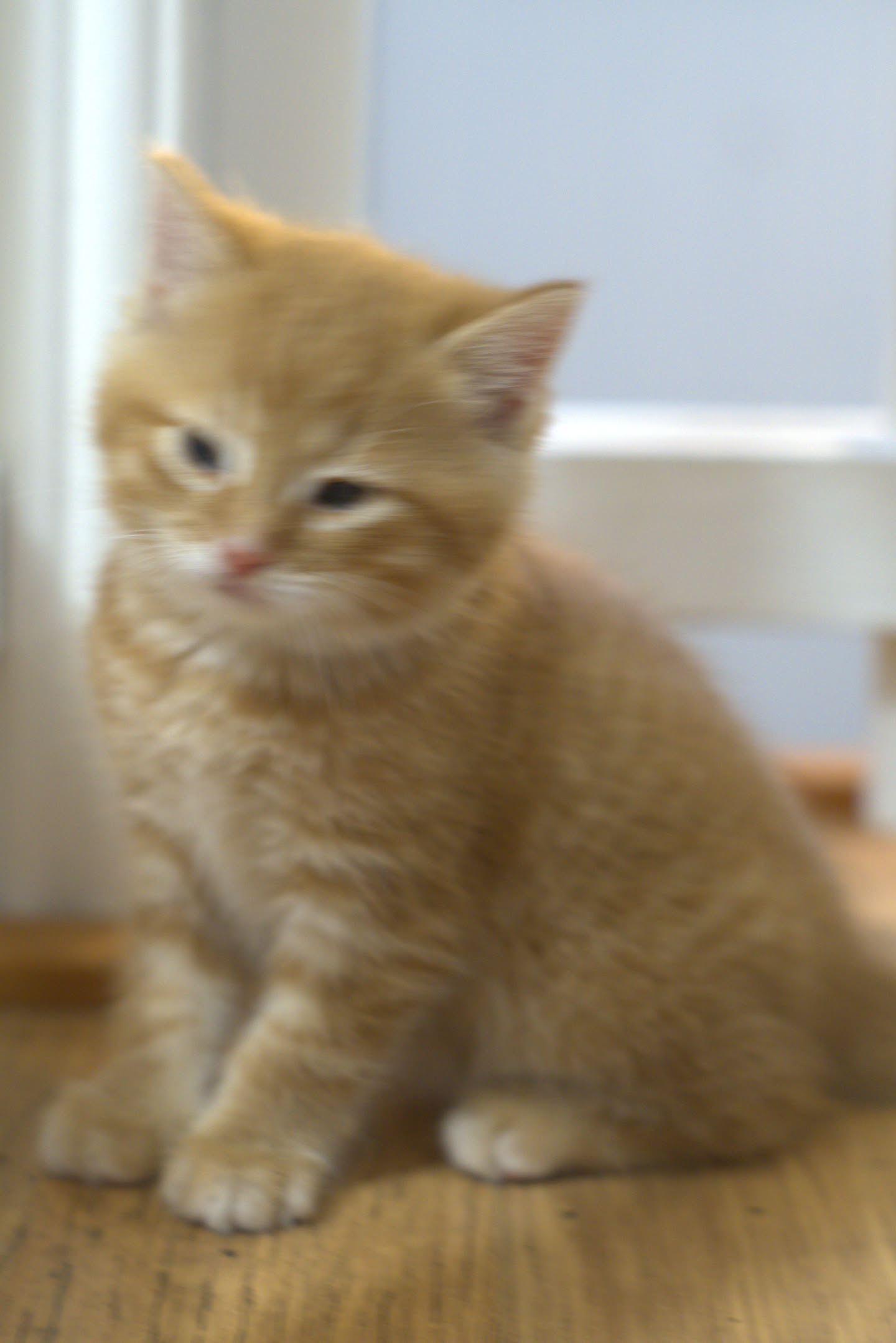 Thumbnail for En Voi Hyvin.Jpg