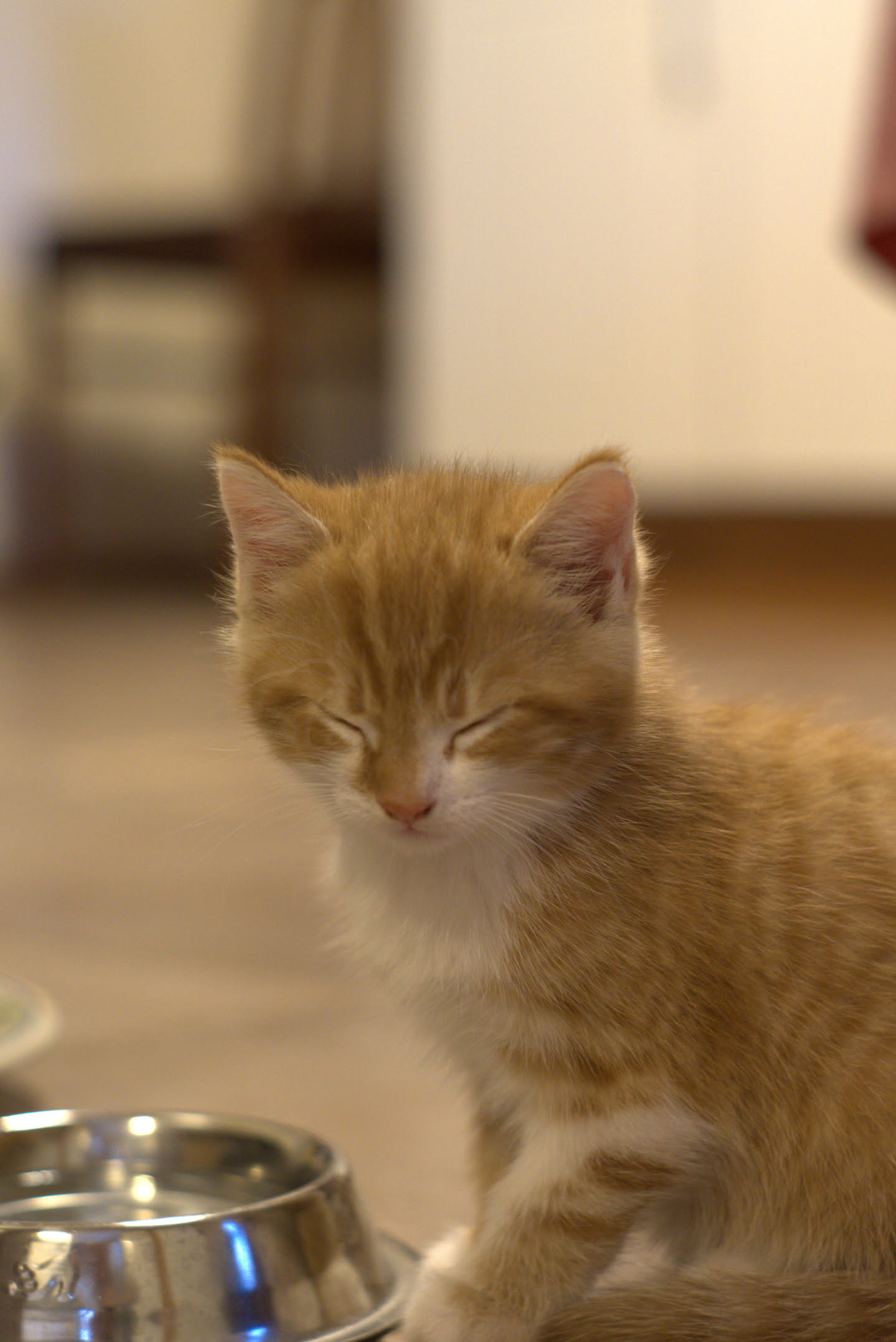 Thumbnail for En Voi Hyvin.Jpg