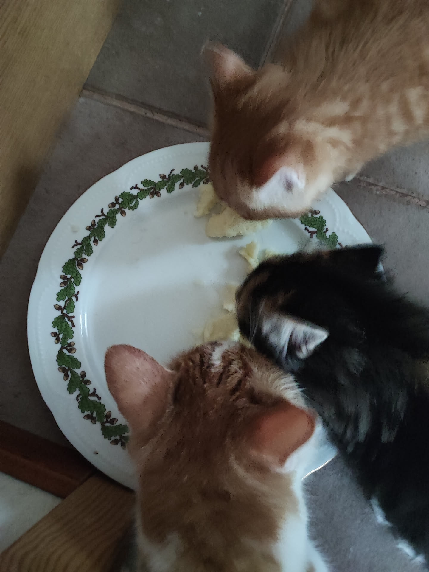 Thumbnail for My Cars Broken Maybe